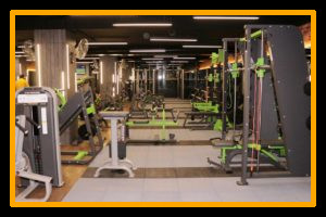 Workout - Pulse8 Gym