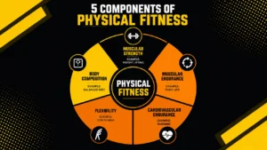 5 Components of Physical Fitness